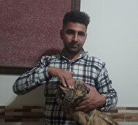 جغدی که پس از مراقبت، به آغوش حیات وحش زنجان بازگشت