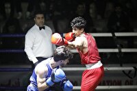 معرفی فینالیست‌های بوکس قهرمانی ایران