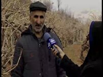 ۳۸۷ هزار هکتارسطح زیر کشت محصولات زراعی و باغی در خراسان شمالی