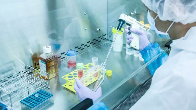 ارتقای جایگاه جهانی ایران در پزشکی بازساختی از ۱۲ به ۷.