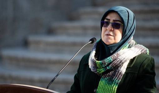 گزارش هیئت دولت از اقدامات تروریستی اخیر