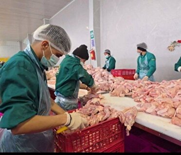 ساوجبلاغ؛ محور تأمین و تنظیم بازار البرز