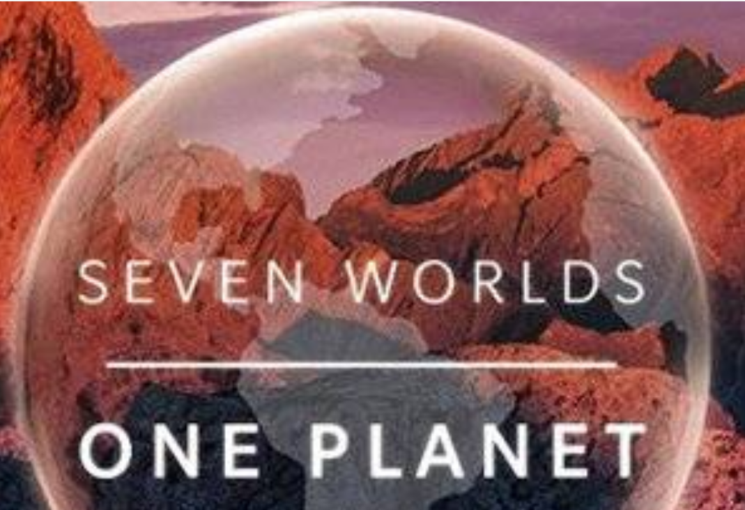 برنامه های تلویزیونی ، مستند سریالی و فیلم سینمایی از قاب سیما برنامه های تلویزیونی ، مستند سریالی و فیلم سینمایی از قاب سیما