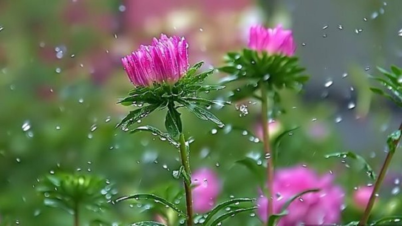 هشدار بارش‌های رگباری و تگرگ در آذربایجان‌شرقی