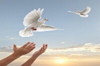 آزادی۲۵۰  زندانی غیر عمد مالی از زندان‌های آذربایجان غربی