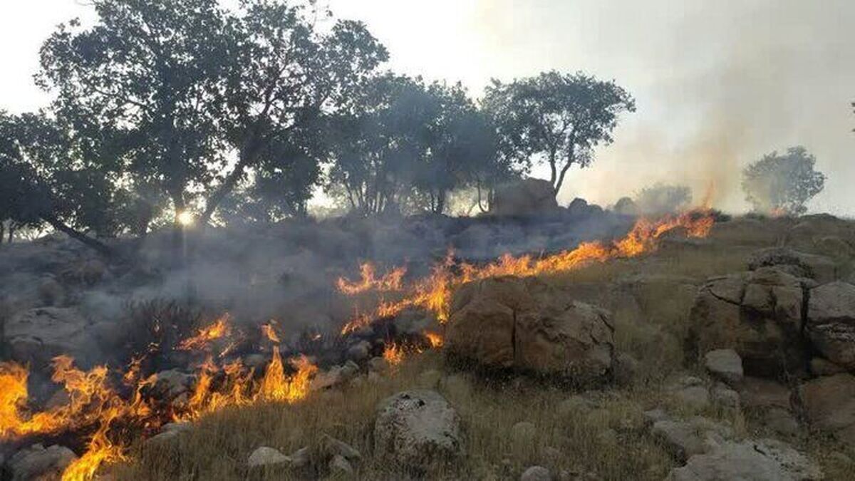 آتش سوزی در منطقه کوه چنار فارس
