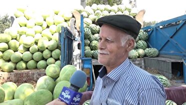 تابستان،جشن کوچک برای چشم، دل و خاطره ها