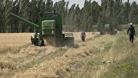 برداشت بیش از ۶۰ هزار تُن گندم از مزارع خوی