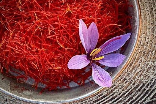 زعفران، ناجی سلولهای مغزی در بیماران دیابتی