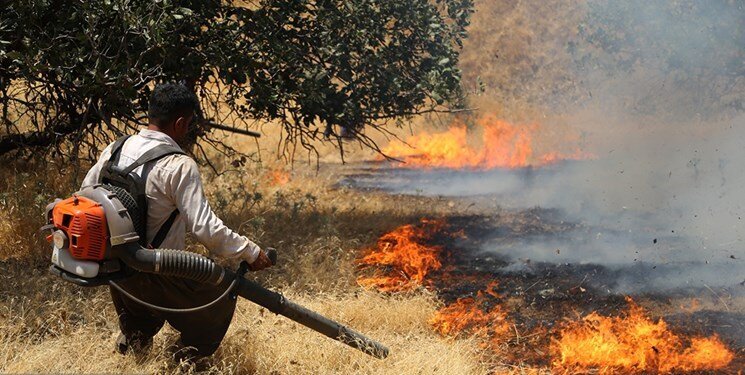 آتش در جنگل‌های مریوان مهار شد