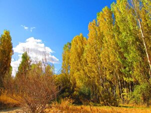 پاییز هزار رنگ انگوران زنجان