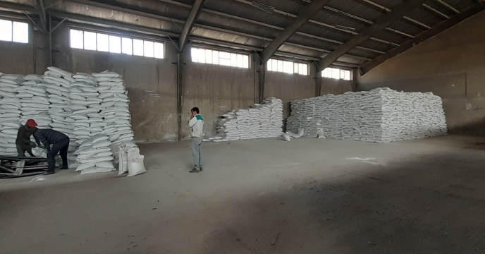 توزیع ۶۰۰ تن کود کلرور پتاسیم در بین کشاورزان