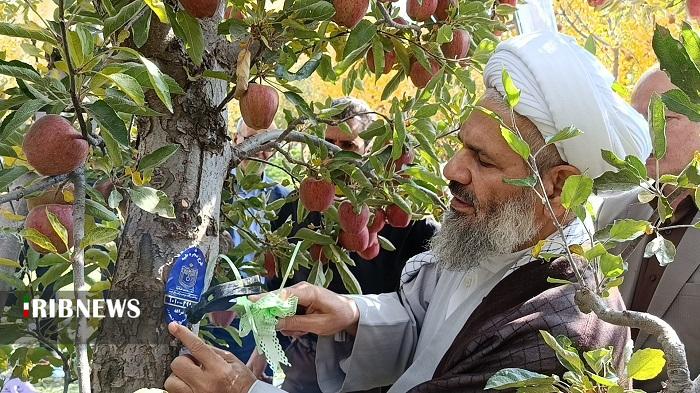 پلاک کوبی پنج هزار درخت برای زکات در آذربایجان شرقی پلاک کوبی پنج هزار درخت برای زکات در آذربایجان شرقی