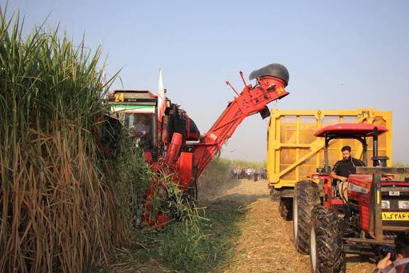 آغاز بزرگترین عملیات متمرکز برداشت کشاورزی کشور در خوزستان آغاز بزرگترین عملیات متمرکز برداشت کشاورزی کشور در خوزستان