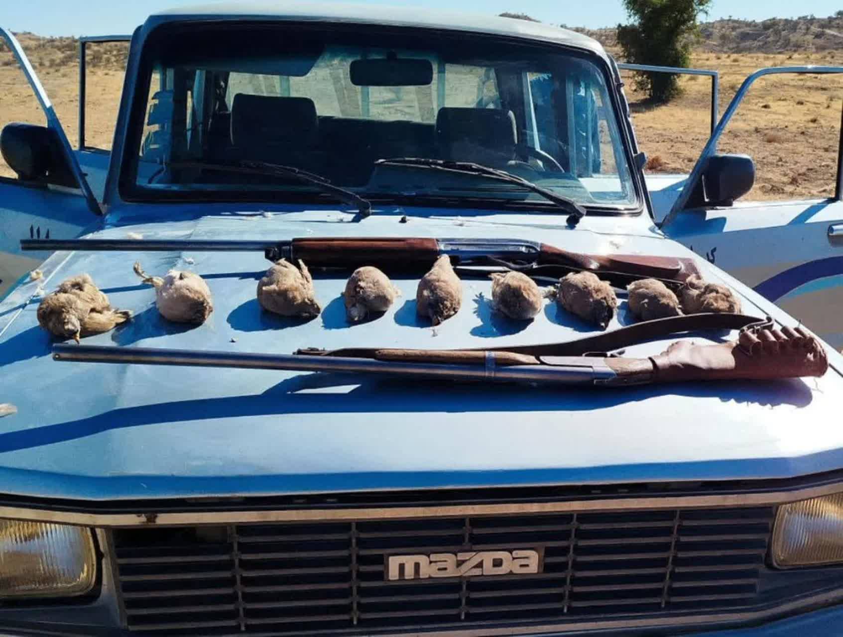 دستگیری شکارچیان متخلف در کوهسرخ کازرون