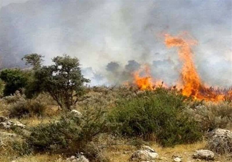 هشدار محیط‌زیست درباره روایت‌های نادرست از آتش‌سوزی الیت