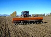 اجرای طرح کاشت (PDT) جو آبی در شهرستان شهرکرد