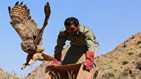 رهاسازی پرندگان حیات وحش در طبیعت شهرستان خرمدره