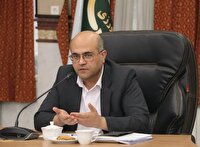 پیش‌بینی تولید ۳۰۰ هزار تن گندم در قزوین با وجود محدودیت‌های آبی