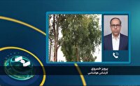 هشدار سطح زرد هواشناسی و وزش باد در سیستان و بلوچستان