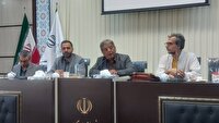 درجه هنری به ۵۲۴ هنرمند در کشور اعطا شد
