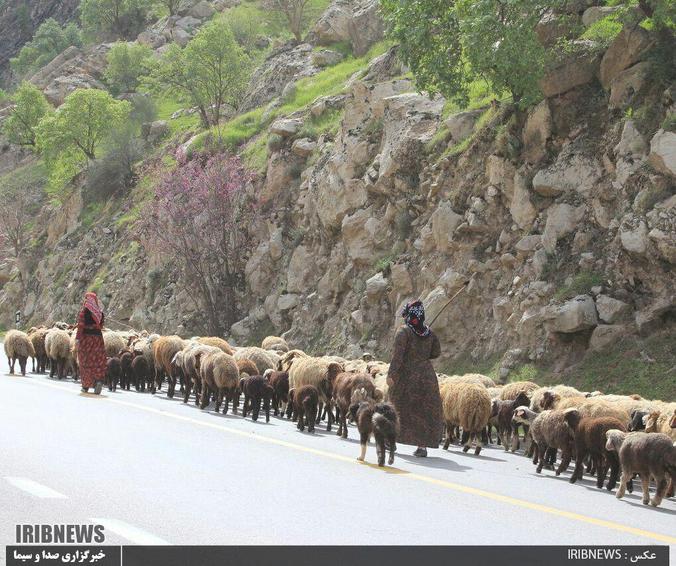  زندگی عشایر در قاب دوربین